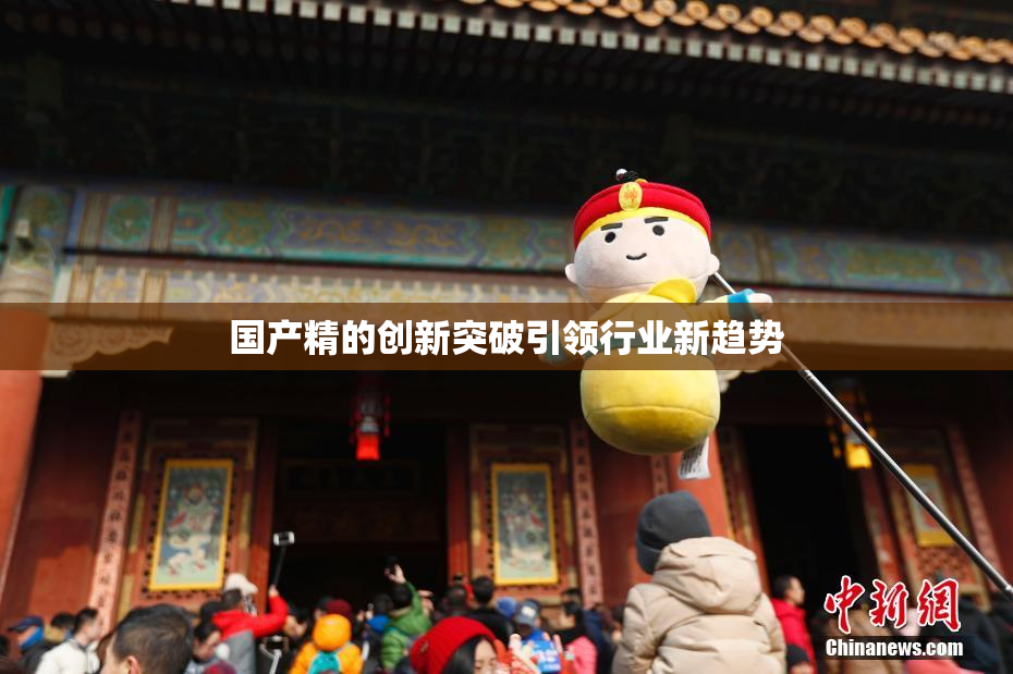 国产精的创新突破引领行业新趋势