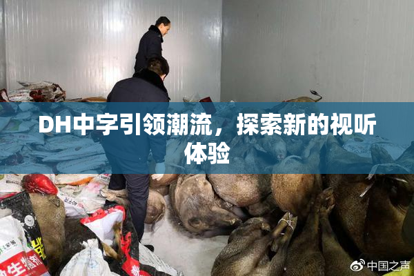DH中字引领潮流，探索新的视听体验