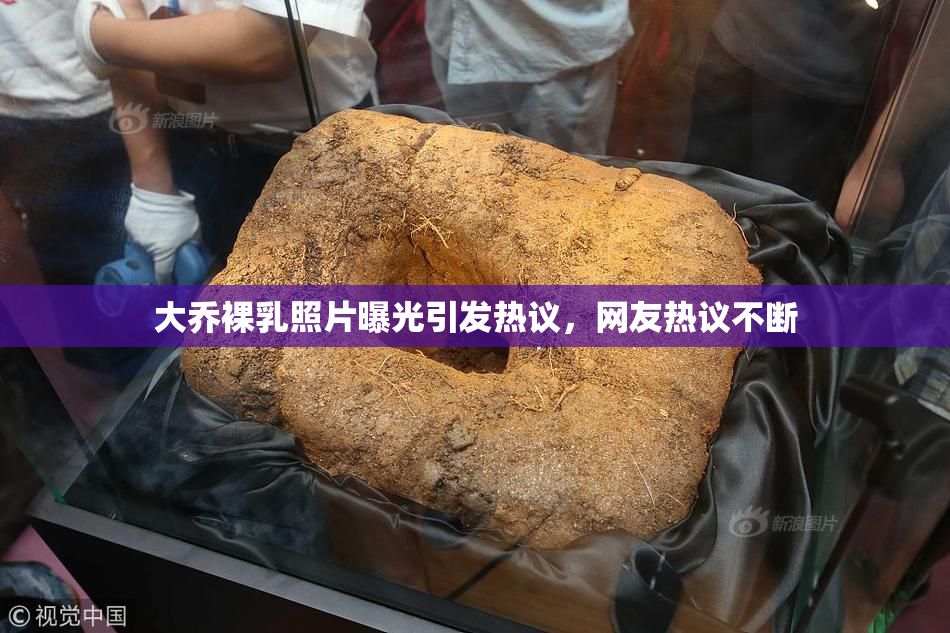 大乔裸乳照片曝光引发热议，网友热议不断
