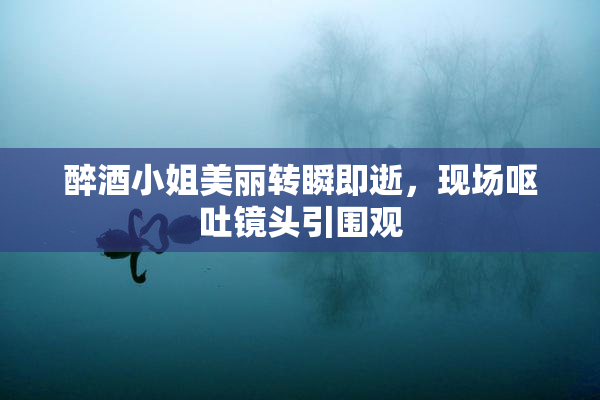 醉酒小姐美丽转瞬即逝，现场呕吐镜头引围观
