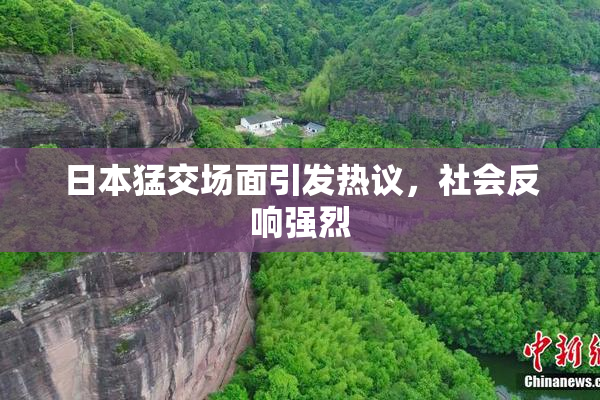 日本猛交场面引发热议，社会反响强烈