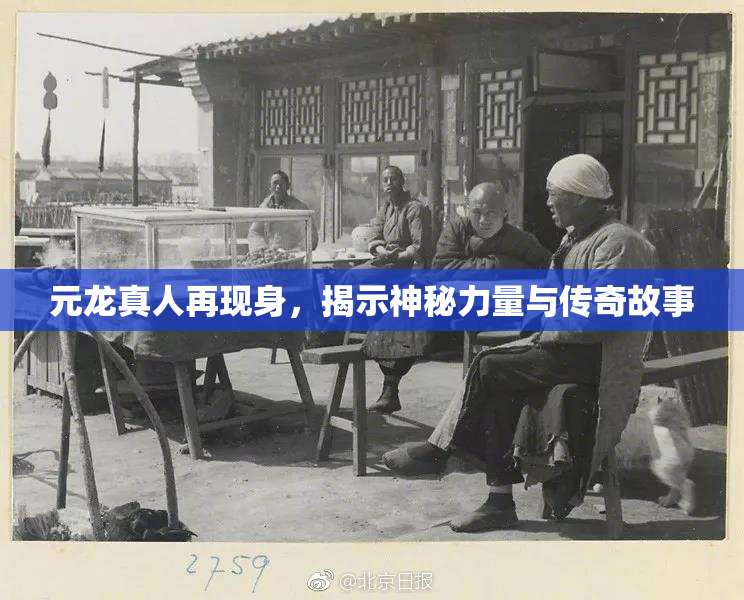 元龙真人再现身，揭示神秘力量与传奇故事