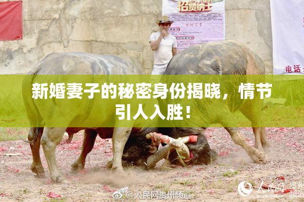 新婚妻子的秘密身份揭晓，情节引人入胜！