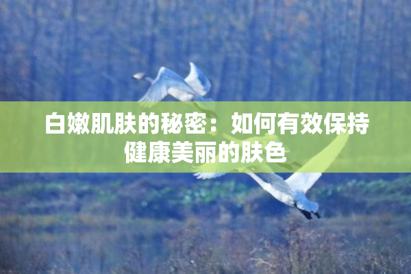 白嫩肌肤的秘密：如何有效保持健康美丽的肤色