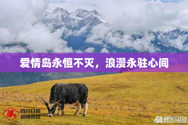 爱情岛永恒不灭，浪漫永驻心间