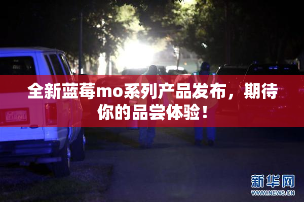 全新蓝莓mo系列产品发布，期待你的品尝体验！