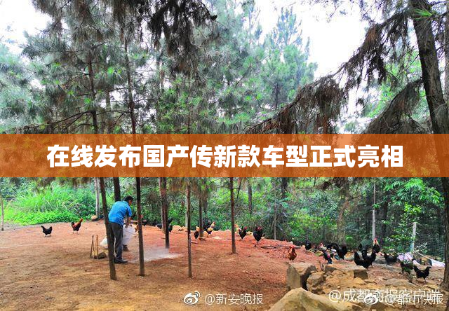 在线发布国产传新款车型正式亮相