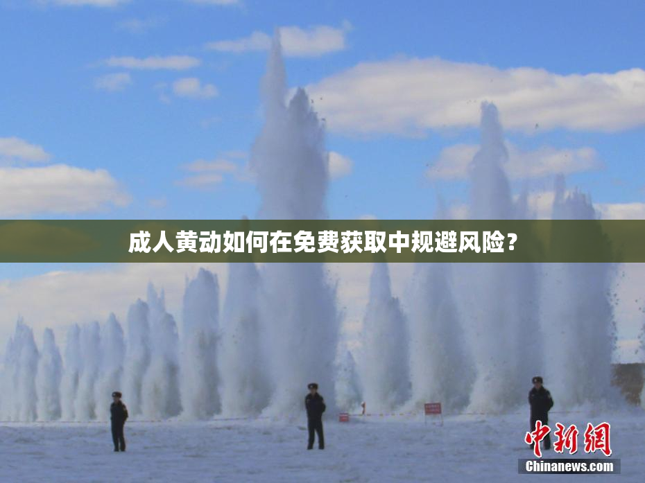 成人黄动如何在免费获取中规避风险？