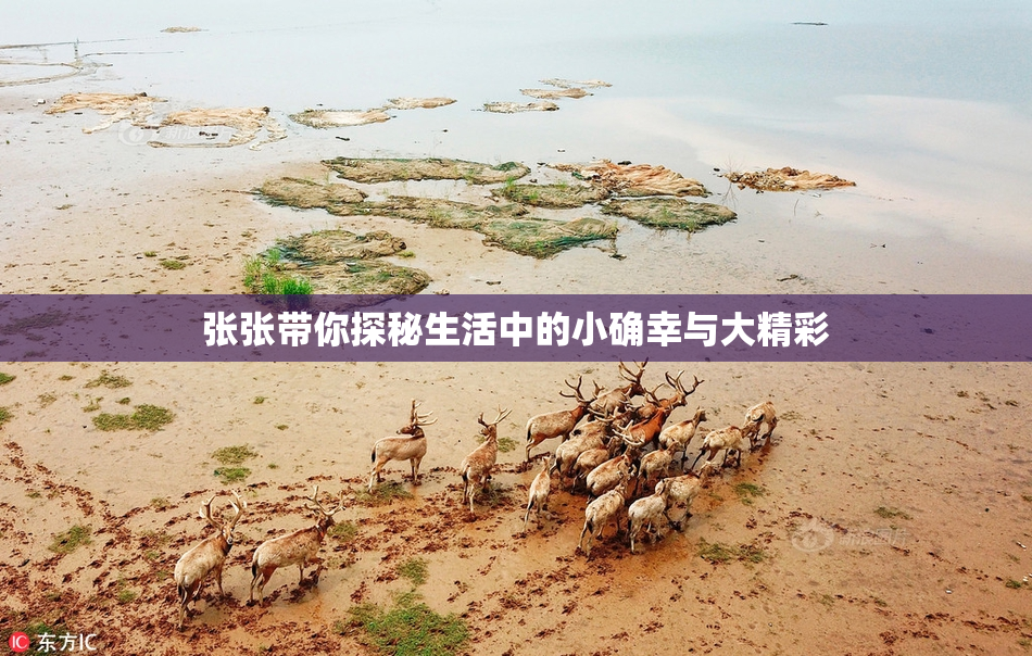 张张带你探秘生活中的小确幸与大精彩