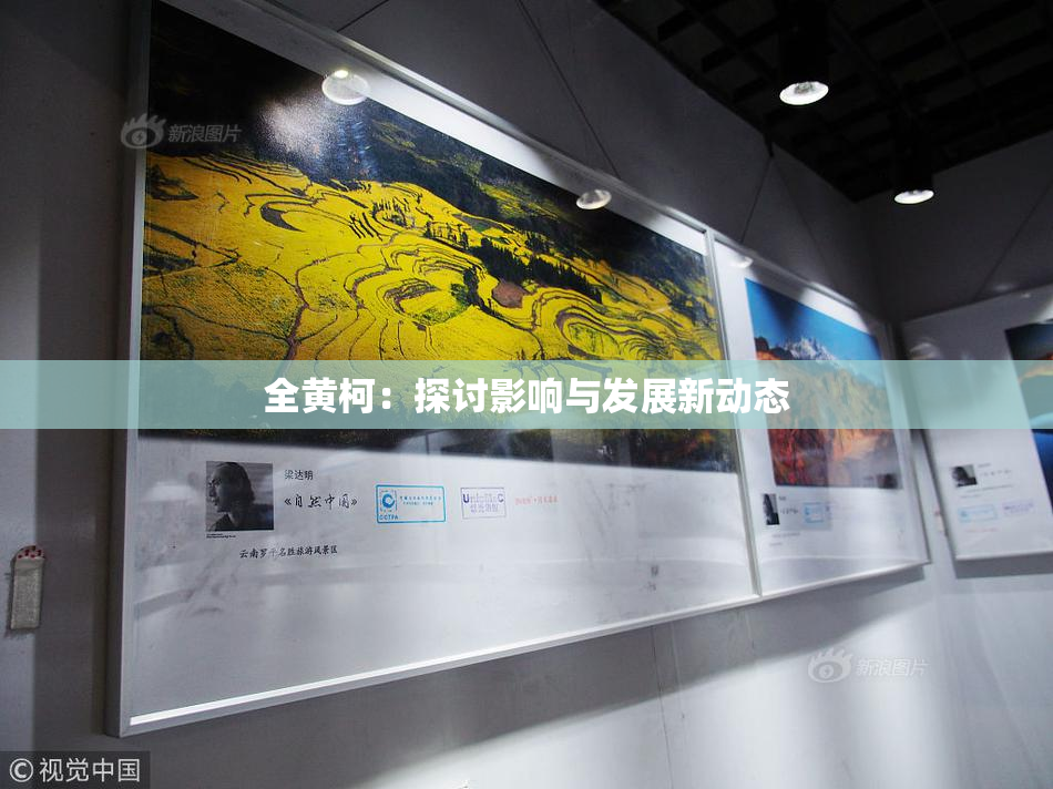 全黄柯：探讨影响与发展新动态