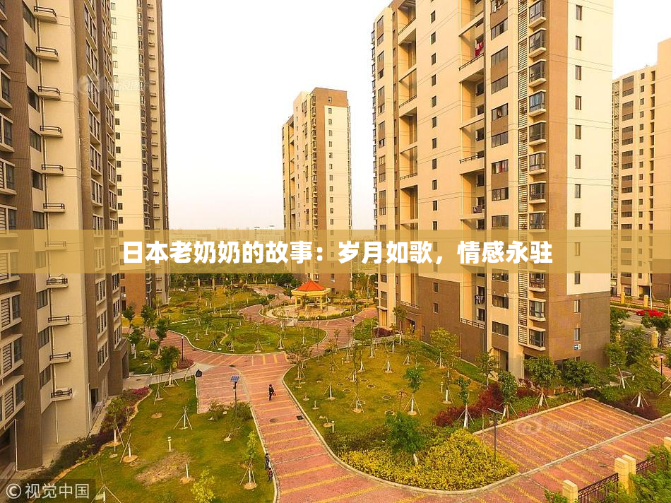 日本老奶奶的故事：岁月如歌，情感永驻