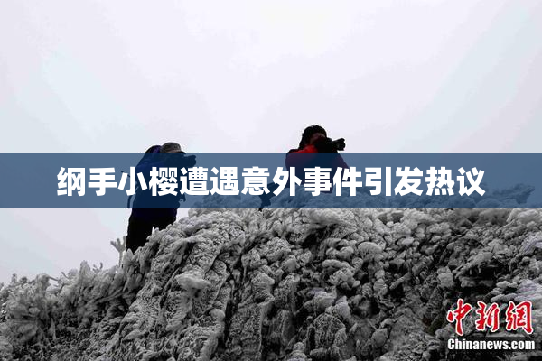 纲手小樱遭遇意外事件引发热议