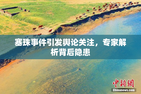 塞珠事件引发舆论关注，专家解析背后隐患