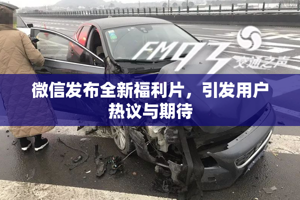 微信发布全新福利片，引发用户热议与期待