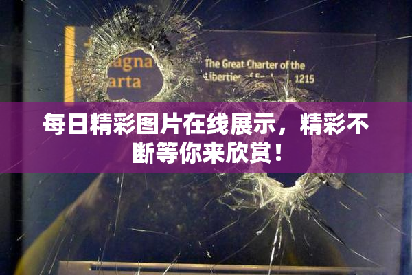 每日精彩图片在线展示，精彩不断等你来欣赏！