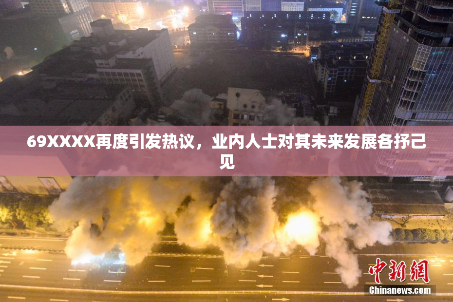 69XXXX再度引发热议，业内人士对其未来发展各抒己见