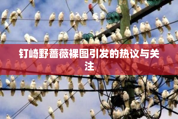 钉崎野蔷薇裸图引发的热议与关注