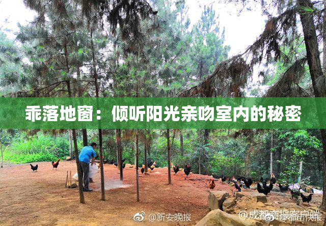 乖落地窗：倾听阳光亲吻室内的秘密