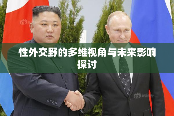 性外交野的多维视角与未来影响探讨