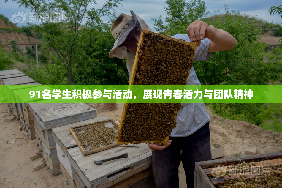 91名学生积极参与活动，展现青春活力与团队精神