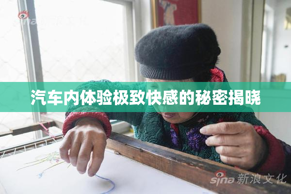 汽车内体验极致快感的秘密揭晓