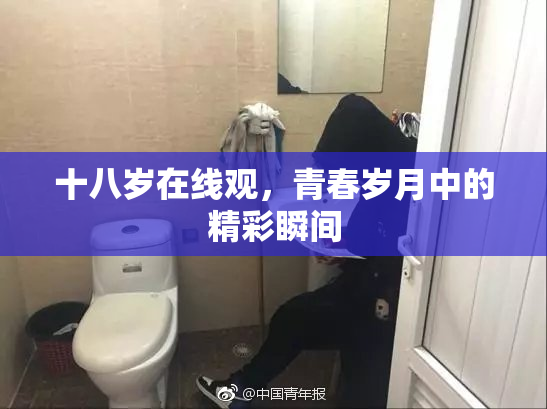 十八岁在线观，青春岁月中的精彩瞬间