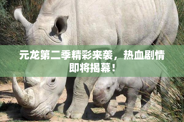 元龙第二季精彩来袭，热血剧情即将揭幕！