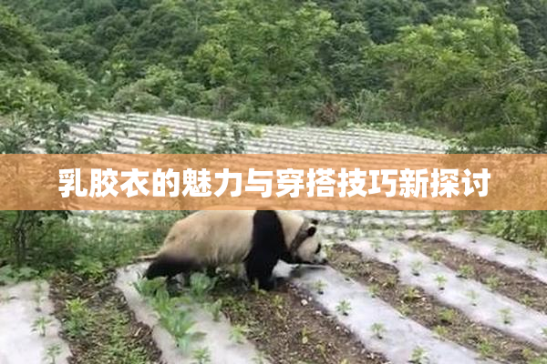乳胶衣的魅力与穿搭技巧新探讨