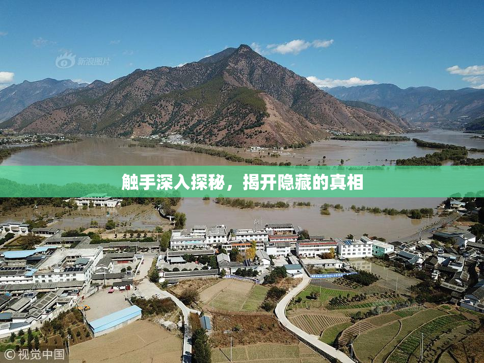 触手深入探秘，揭开隐藏的真相