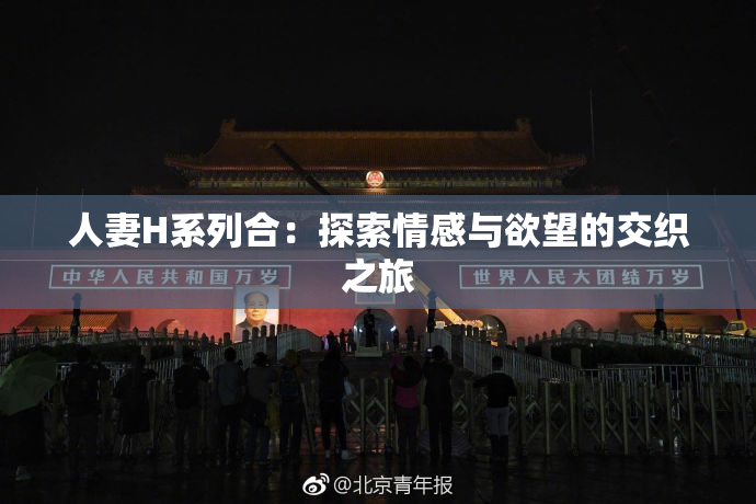 人妻H系列合：探索情感与欲望的交织之旅