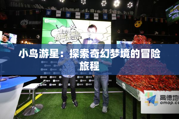 小鸟游星：探索奇幻梦境的冒险旅程
