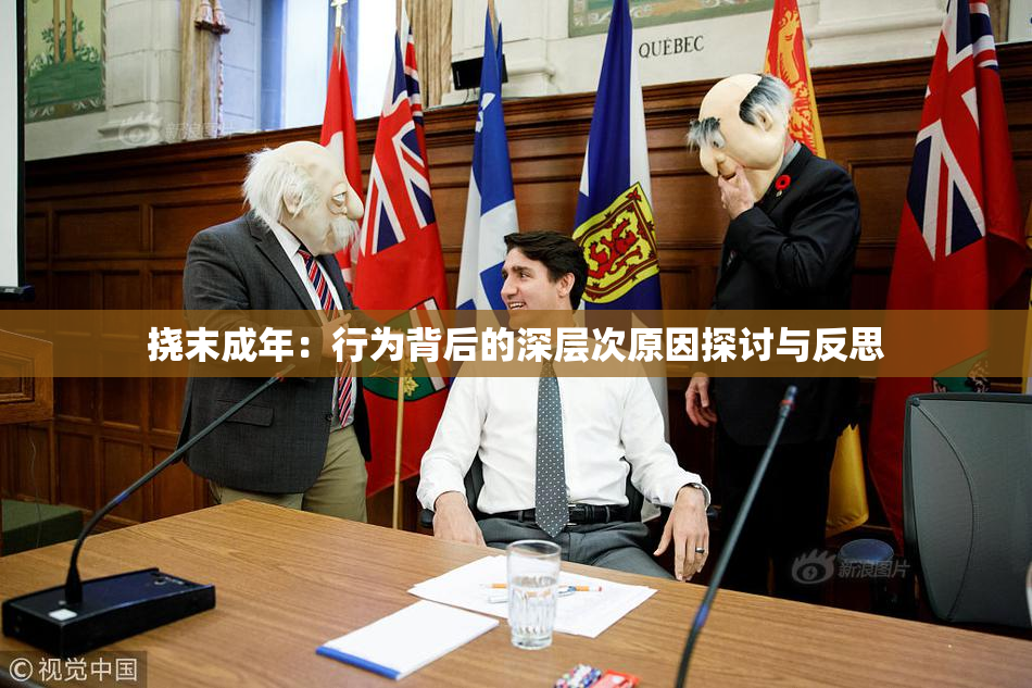 挠末成年：行为背后的深层次原因探讨与反思