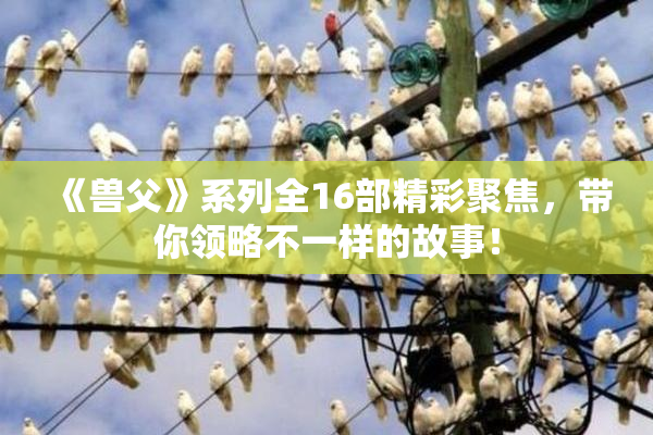 《兽父》系列全16部精彩聚焦，带你领略不一样的故事！