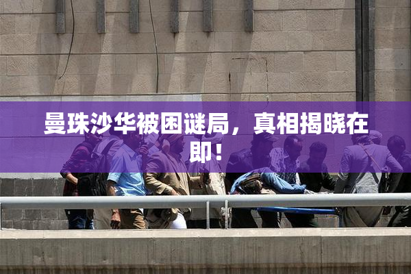 曼珠沙华被困谜局，真相揭晓在即！