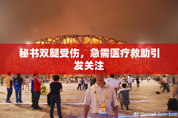 秘书双腿受伤，急需医疗救助引发关注