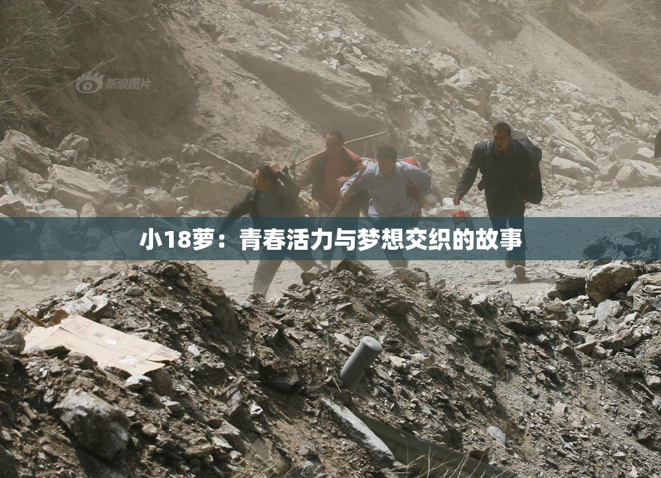 小18萝：青春活力与梦想交织的故事