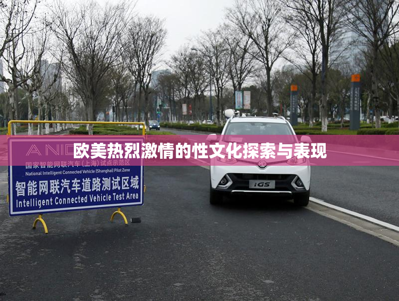 欧美热烈激情的性文化探索与表现