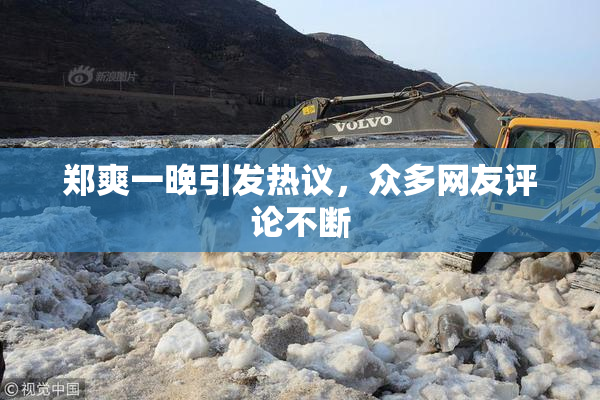 郑爽一晚引发热议，众多网友评论不断