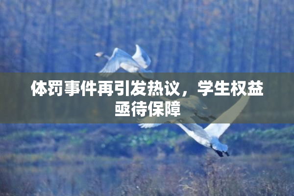 体罚事件再引发热议，学生权益亟待保障