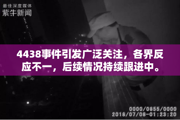 4438事件引发广泛关注，各界反应不一，后续情况持续跟进中。