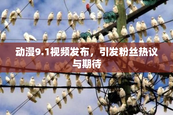 动漫9.1视频发布，引发粉丝热议与期待
