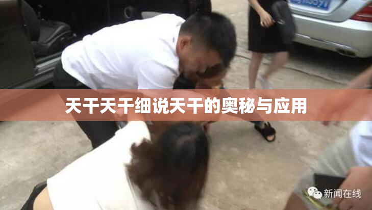 天干天干细说天干的奥秘与应用