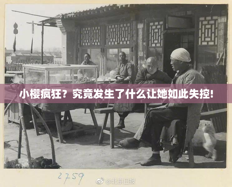 小樱疯狂？究竟发生了什么让她如此失控!
