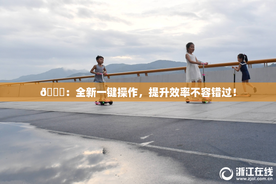 🔞：全新一键操作，提升效率不容错过！