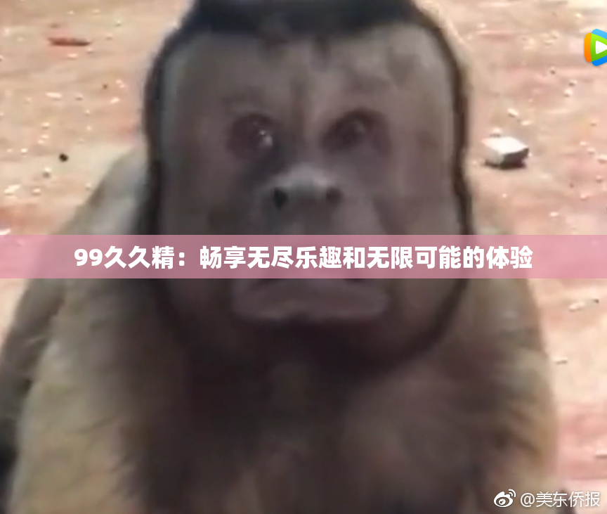 99久久精：畅享无尽乐趣和无限可能的体验