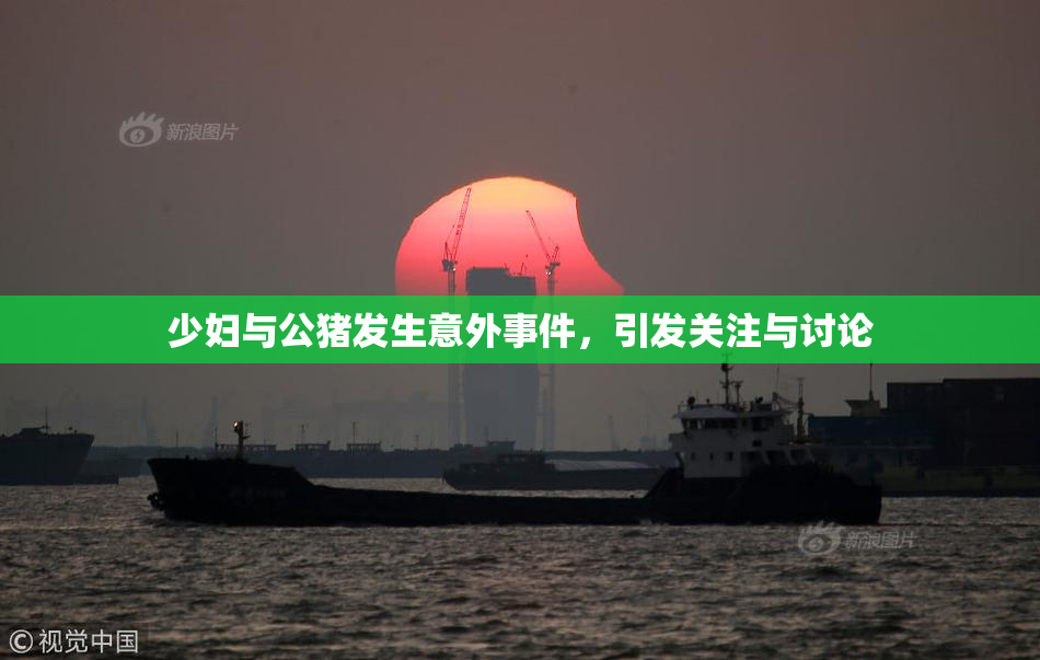 少妇与公猪发生意外事件，引发关注与讨论