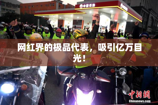 网红界的极品代表，吸引亿万目光！