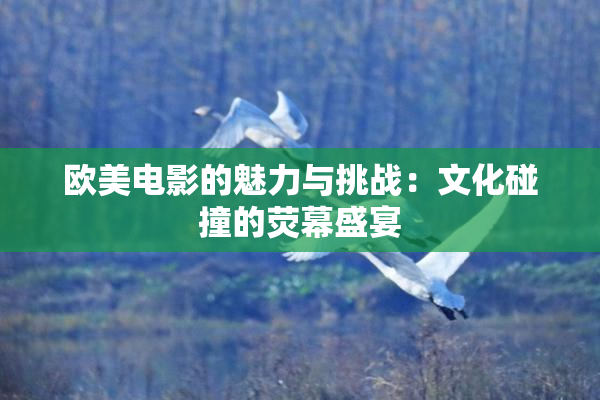 欧美电影的魅力与挑战：文化碰撞的荧幕盛宴