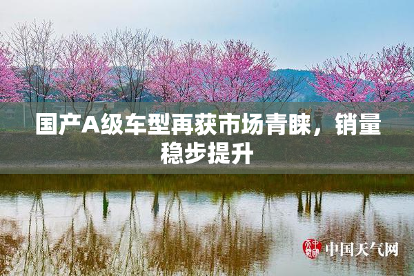 国产A级车型再获市场青睐，销量稳步提升
