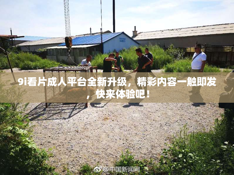 9i看片成人平台全新升级，精彩内容一触即发，快来体验吧！